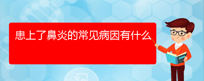 (貴陽治療鼻炎那家醫(yī)院比較好)患上了鼻炎的常見病因有什么(圖1)