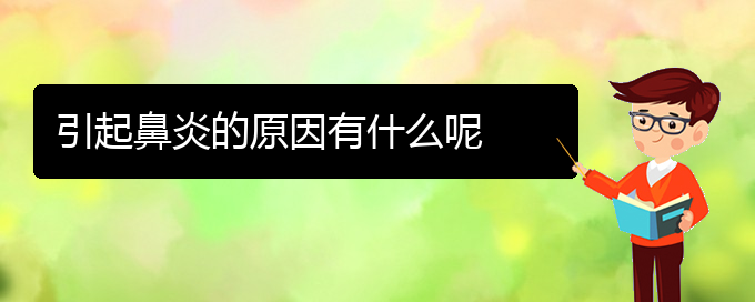 (貴陽(yáng)治療過(guò)敏性鼻炎哪個(gè)醫(yī)院極好)引起鼻炎的原因有什么呢(圖1)