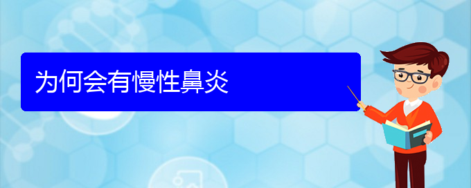 (貴陽看慢性鼻炎能報銷嗎)為何會有慢性鼻炎(圖1)