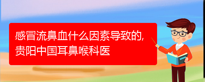 感冒流鼻血什么因素導(dǎo)致的,貴陽中國耳鼻喉科醫(yī)(圖1)