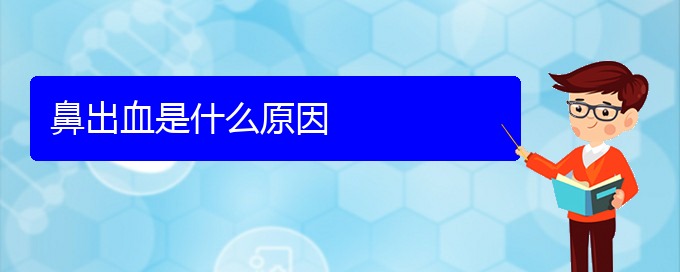 (貴陽(yáng)鼻科醫(yī)院掛號(hào))鼻出血是什么原因(圖1)