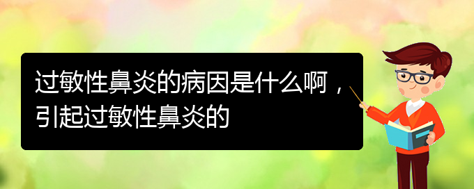 (貴州什么醫(yī)院治療過敏性鼻炎)過敏性鼻炎的病因是什么啊，引起過敏性鼻炎的(圖1)