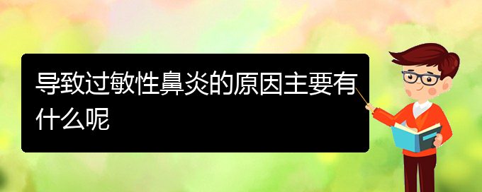 (貴陽治療過敏性鼻炎的權(quán)威醫(yī)院)導致過敏性鼻炎的原因主要有什么呢(圖1)