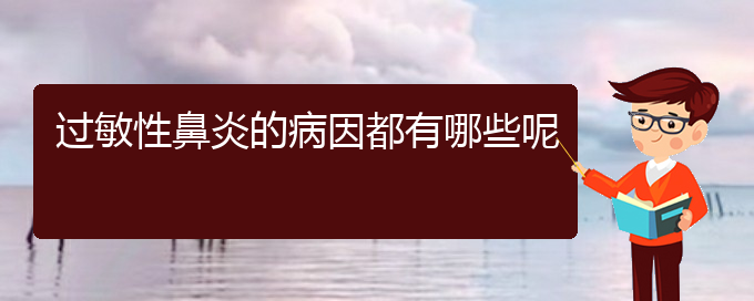 (貴陽哪個醫(yī)院治過敏性鼻炎好)過敏性鼻炎的病因都有哪些呢(圖1)