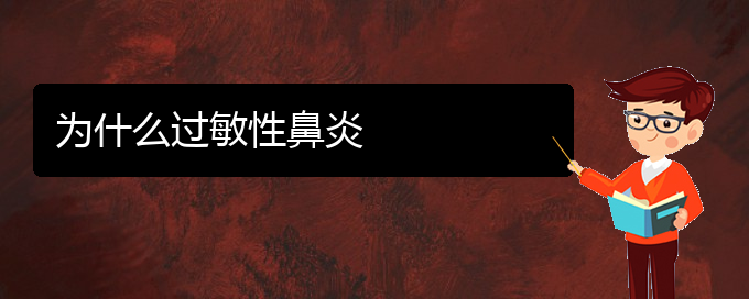 (貴州治過敏性鼻炎專科醫(yī)院)為什么過敏性鼻炎(圖1)