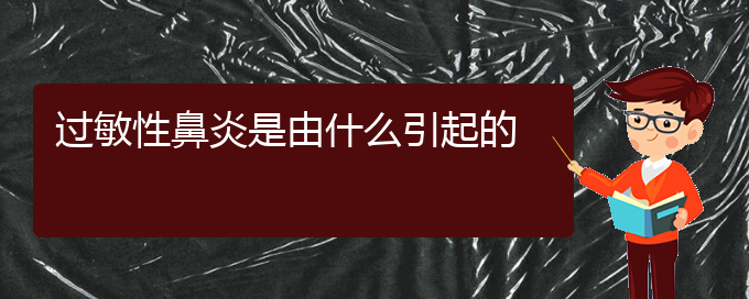 (貴陽治過敏性鼻炎到哪個醫(yī)院)過敏性鼻炎是由什么引起的(圖1)