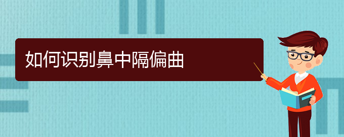 (貴陽哪個地方醫(yī)院看鼻中隔偏曲)如何識別鼻中隔偏曲(圖1)