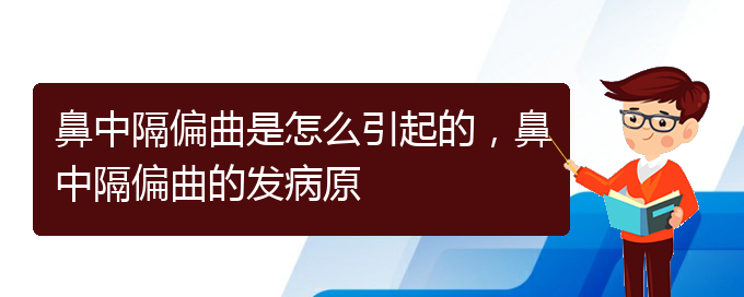 (貴陽(yáng)一般看鼻中隔偏曲多少錢)鼻中隔偏曲是怎么引起的，鼻中隔偏曲的發(fā)病原(圖1)