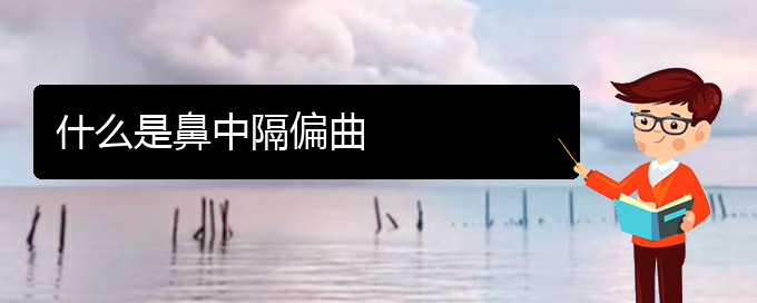 (貴陽(yáng)鼻中隔偏曲治療哪個(gè)醫(yī)院好)什么是鼻中隔偏曲(圖1)