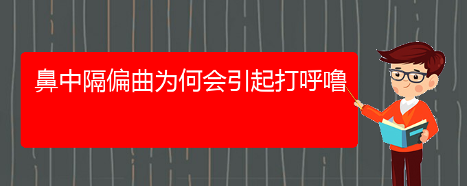 (貴陽哪治療鼻中隔偏曲好)鼻中隔偏曲為何會(huì)引起打呼嚕(圖1)