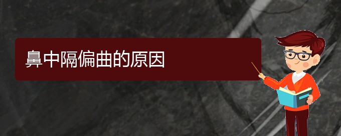 (貴陽治療鼻中隔偏曲哪個醫(yī)院好)鼻中隔偏曲的原因(圖1)