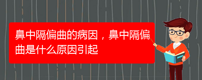 (貴陽(yáng)治療鼻中隔偏曲醫(yī)院)鼻中隔偏曲的病因，鼻中隔偏曲是什么原因引起(圖1)