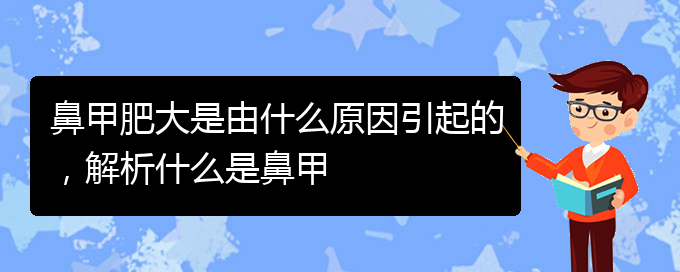 (貴陽鼻甲肥大如何治療)鼻甲肥大是由什么原因引起的，解析什么是鼻甲(圖1)