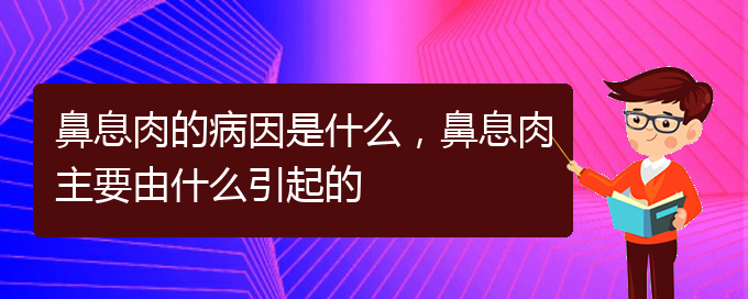 (貴陽鼻息肉治療哪家好)鼻息肉的病因是什么，鼻息肉主要由什么引起的(圖1)