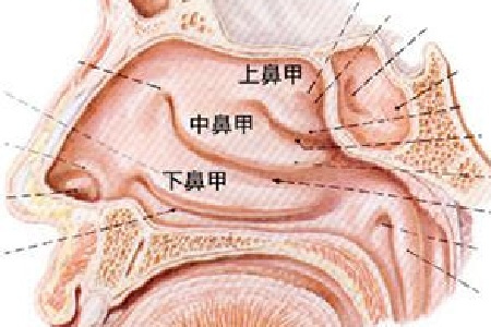 (貴陽附近那個醫(yī)院看鼻息肉好)貴陽做鼻子手術哪里比較好(圖2)