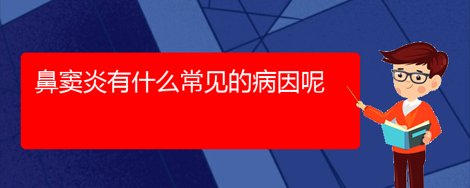 (貴陽(yáng)治鼻竇炎最好的醫(yī)院在哪里)鼻竇炎有什么常見的病因呢(圖1)