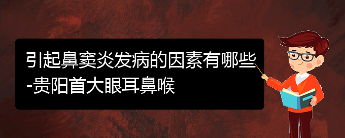 (貴陽(yáng)治療鼻竇炎的專(zhuān)業(yè)醫(yī)院)引起鼻竇炎發(fā)病的因素有哪些-貴陽(yáng)首大眼耳鼻喉(圖1)