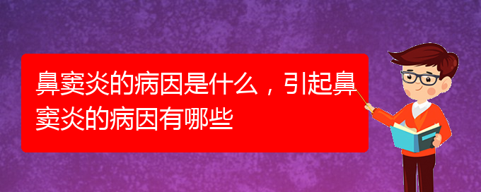 (治鼻竇炎貴陽(yáng)哪家醫(yī)院好)鼻竇炎的病因是什么，引起鼻竇炎的病因有哪些(圖1)