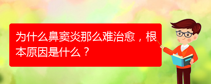 (貴陽治療鼻竇炎要多少費(fèi)用)為什么鼻竇炎那么難治愈，根本原因是什么？(圖1)