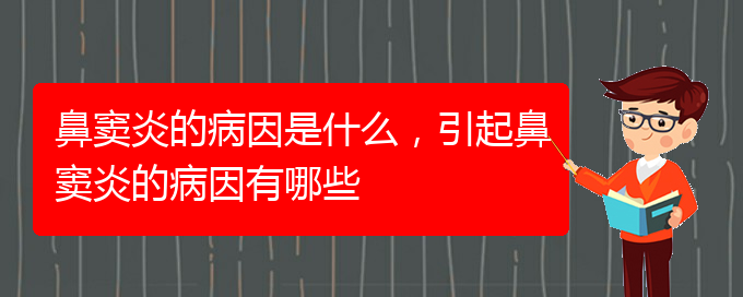 (治鼻竇炎貴陽哪家醫(yī)院好)鼻竇炎的病因是什么，引起鼻竇炎的病因有哪些(圖1)