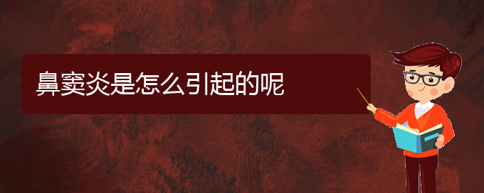 (貴陽(yáng)治療鼻竇炎價(jià)格是多少)鼻竇炎是怎么引起的呢(圖1)