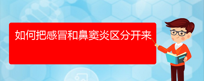 (治療鼻竇炎貴陽那家醫(yī)院好)如何把感冒和鼻竇炎區(qū)分開來(圖1)