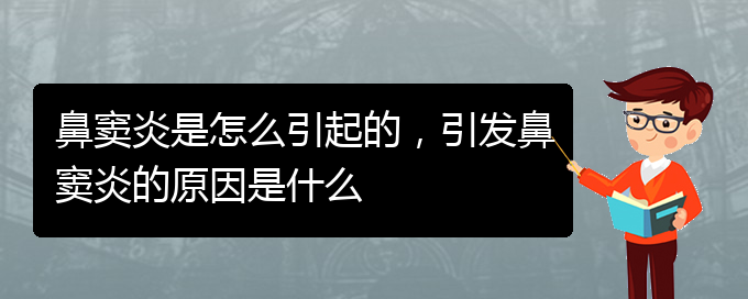 (鼻竇炎治療醫(yī)院貴陽)鼻竇炎是怎么引起的，引發(fā)鼻竇炎的原因是什么(圖1)