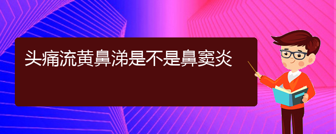 (貴陽看鼻竇炎去醫(yī)院掛什么科)頭痛流黃鼻涕是不是鼻竇炎(圖1)