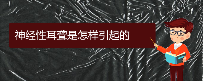 (貴陽耳科醫(yī)院掛號(hào))神經(jīng)性耳聾是怎樣引起的(圖1)