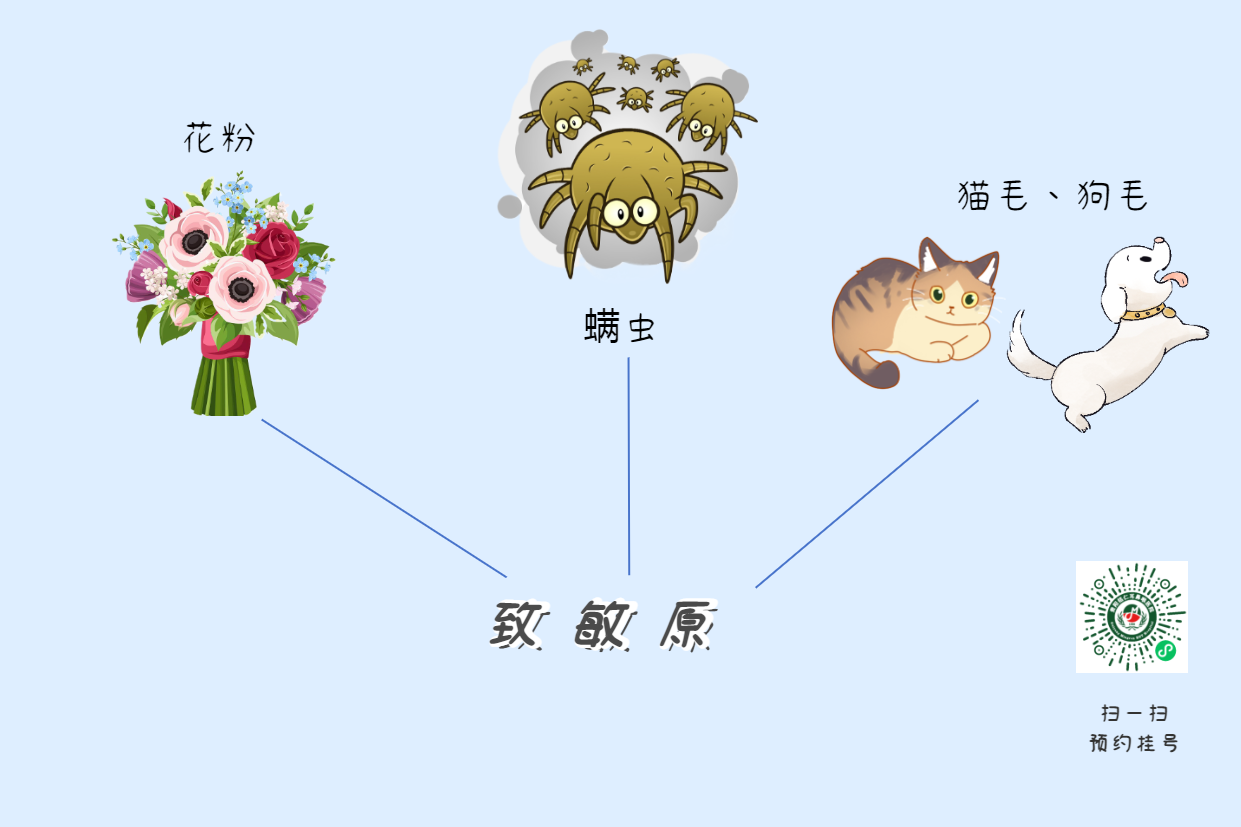 三八婦女節(jié)|呵護鼻敏感的她，控制過敏性鼻炎(圖2)