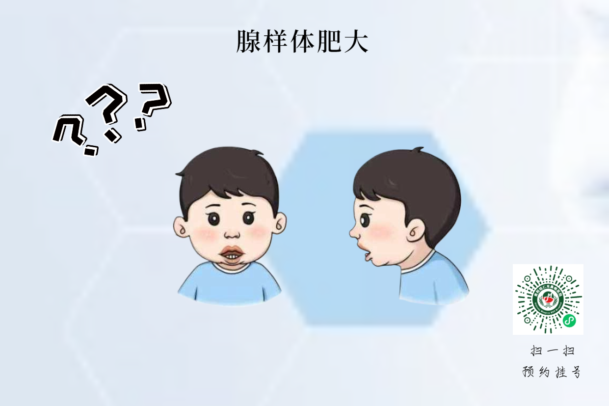 腺樣體肥大影響身高？生長激素的真相(圖2)